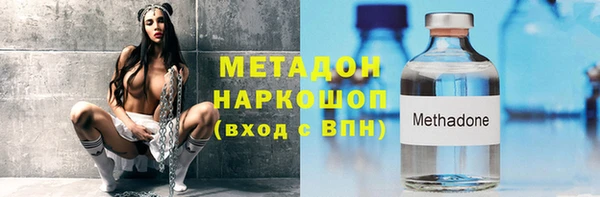 гашик Алексин
