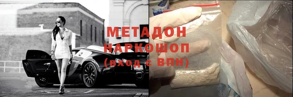 гашик Алексин