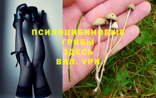 метадон Алексеевка