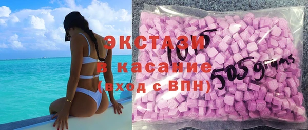 гашик Алексин