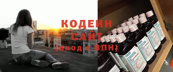 гашик Алексин