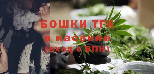 гашик Алексин
