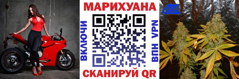 закладки  Комсомольск  Бошки Шишки сатива 